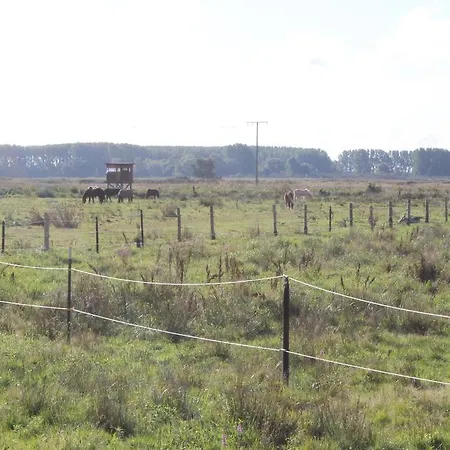 Strandhaus Appartement *