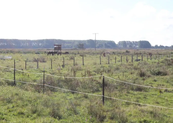 Strandhaus 아파트 *